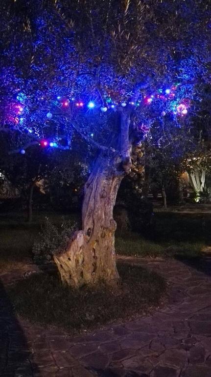 Al Vecchio Pozzo Διαμέρισμα Campobello di Licata Εξωτερικό φωτογραφία