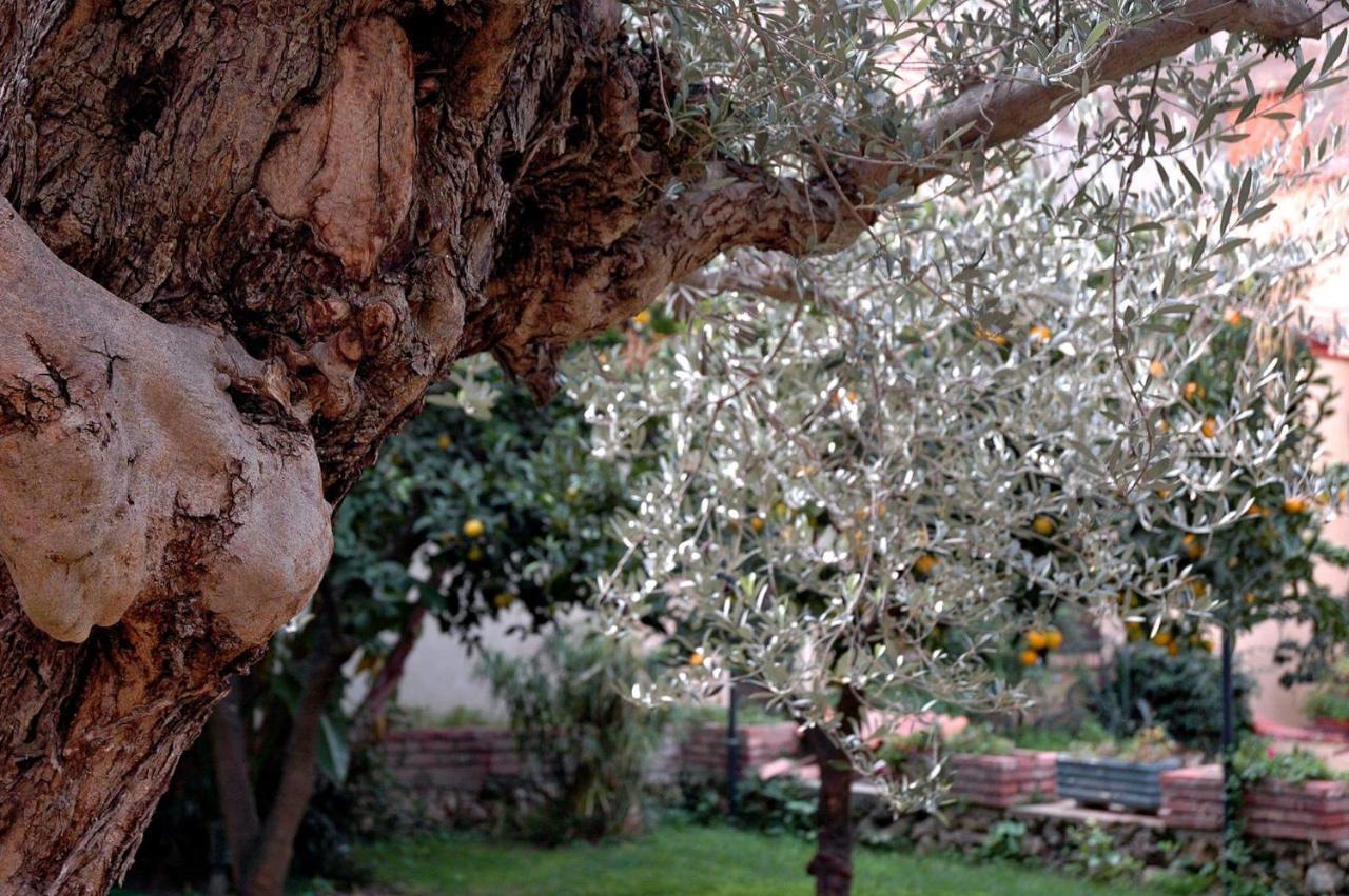 Al Vecchio Pozzo Διαμέρισμα Campobello di Licata Εξωτερικό φωτογραφία