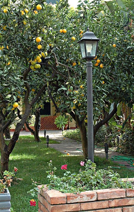 Al Vecchio Pozzo Διαμέρισμα Campobello di Licata Εξωτερικό φωτογραφία