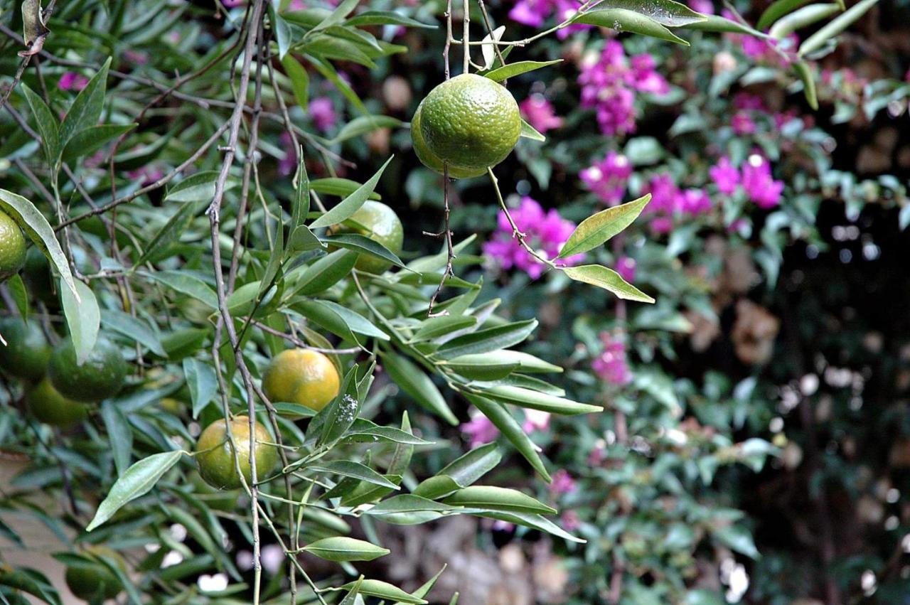 Al Vecchio Pozzo Διαμέρισμα Campobello di Licata Εξωτερικό φωτογραφία